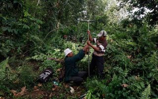 REDD cambio climatico