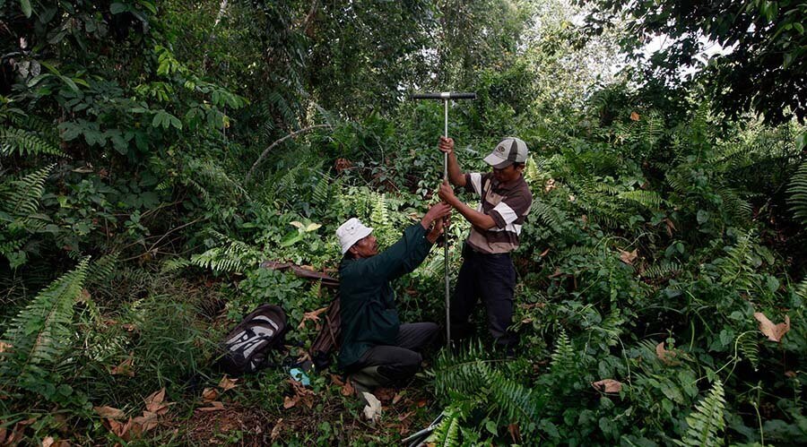 REDD cambio climatico