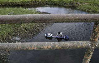 Crímenes contra la naturaleza