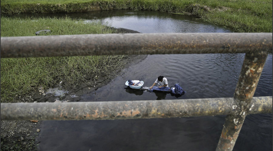 Crímenes contra la naturaleza