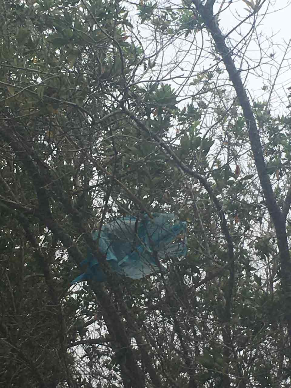 pirotecnia galapagos
