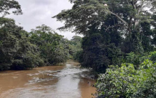 derrame en el río Shiripuno
