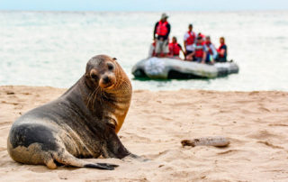 turistas en Galápagos por la pandemia