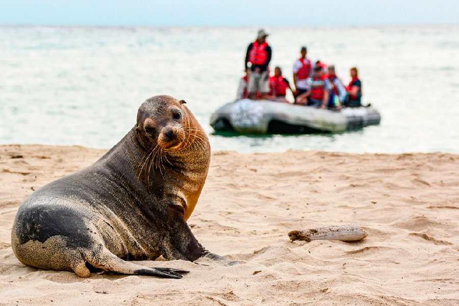 turistas en Galápagos por la pandemia