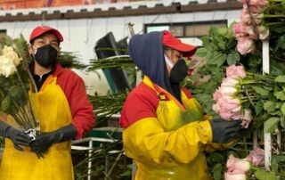 desarrollo productivo