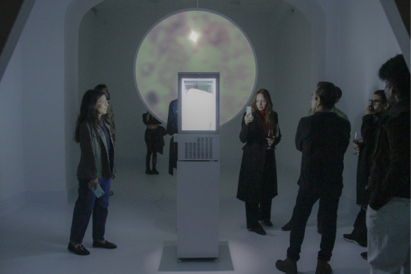 Un grupo de personas revisando la obra Eternal ICE.