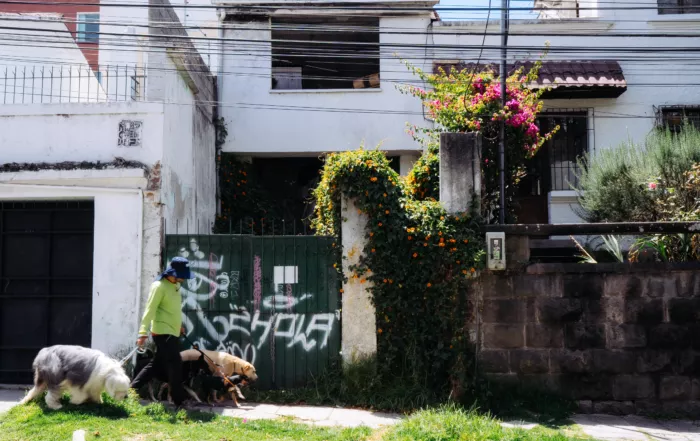 susanitas en una fachada