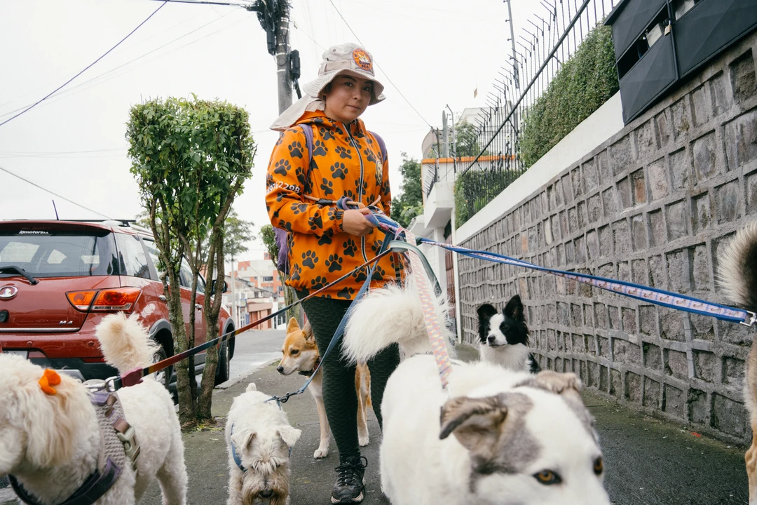 PASEADORES DE PERROS (6 de 12) sosteniendo la rienda