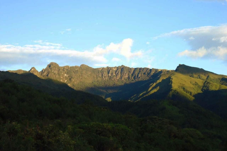 Pasochoa caminata